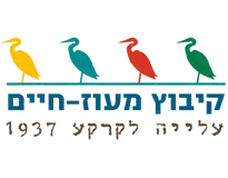 לוגו לקוח